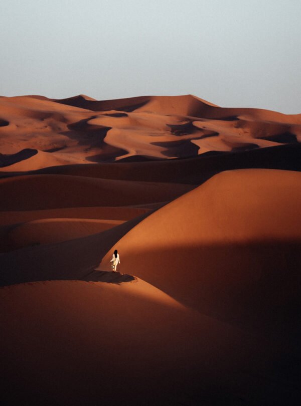 Desert Journey